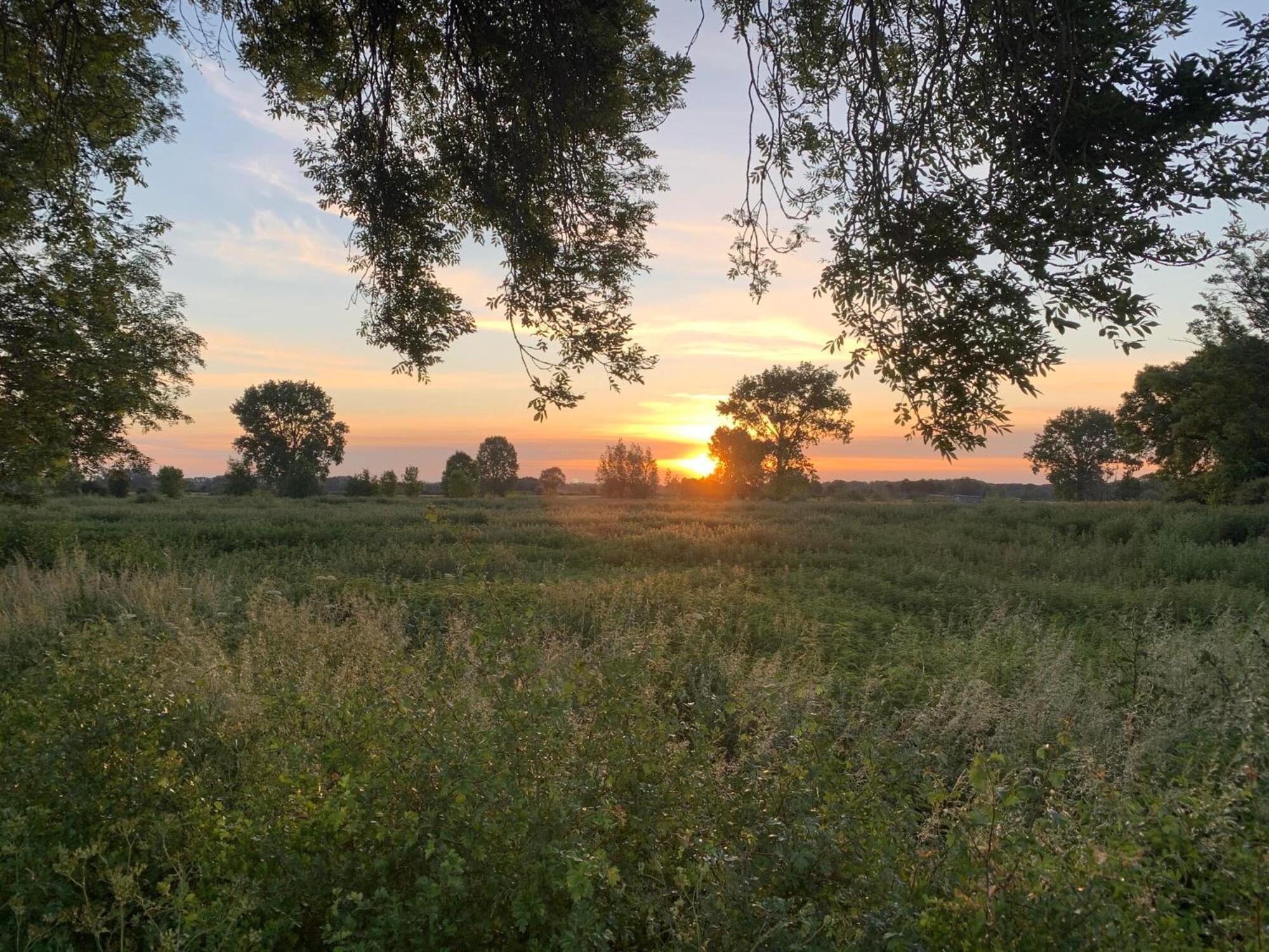 Langs De Maas Bed & Breakfast Boxmeer Dış mekan fotoğraf